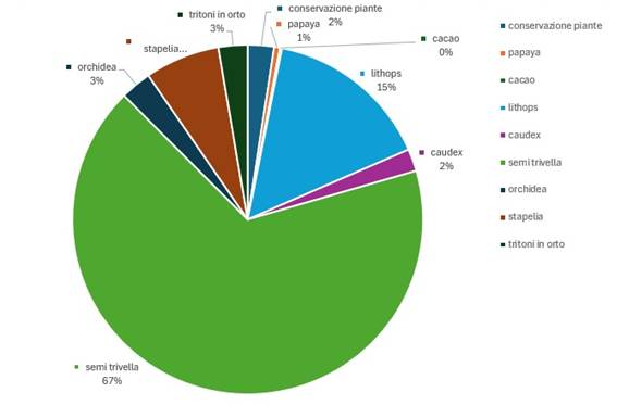 Immagine che contiene schermata, testo, diagramma, Policromia

Descrizione generata automaticamente